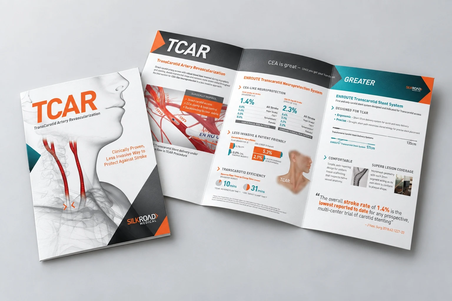 TCAR TransCarotid Artery Revascularization tri-fold marketing brochure mockup